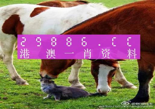 第4268页