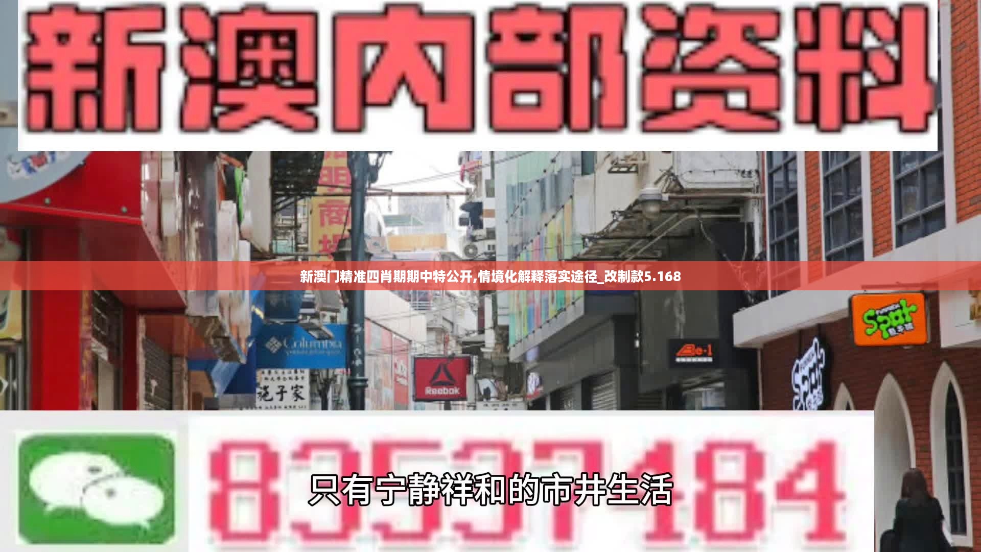 10新动28 第34页