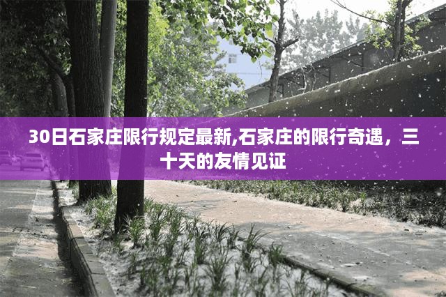 云烟 第42页