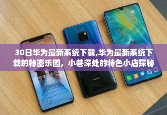 橘虞初梦 第44页