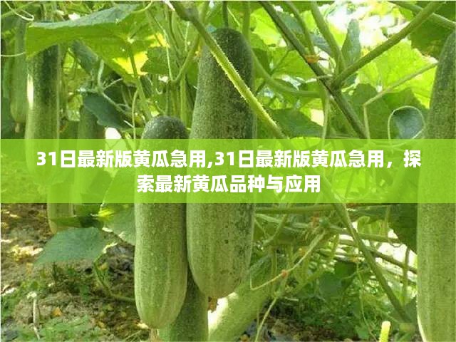 花开无言 第40页