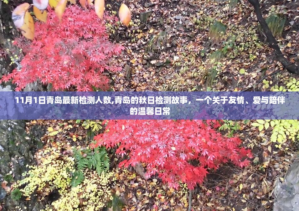 友情