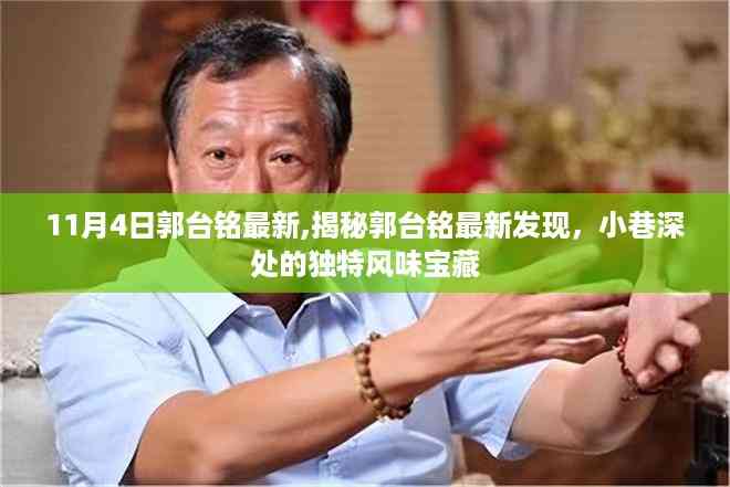 郭台铭最新发现,小巷深处的独特风味宝藏揭秘(11月4日更新)
