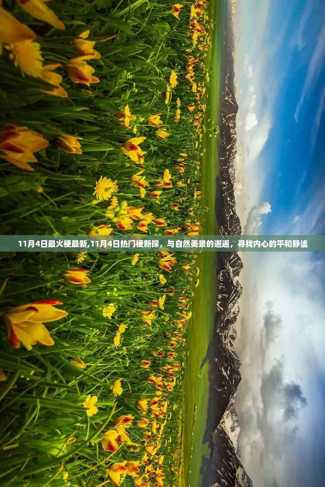11月4日热门新梗与自然美景的邂逅,探寻内心平和静谧之旅