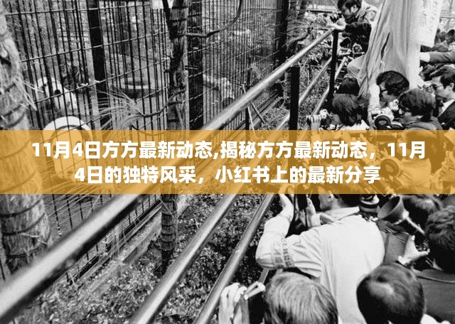 橘虞初梦 第24页