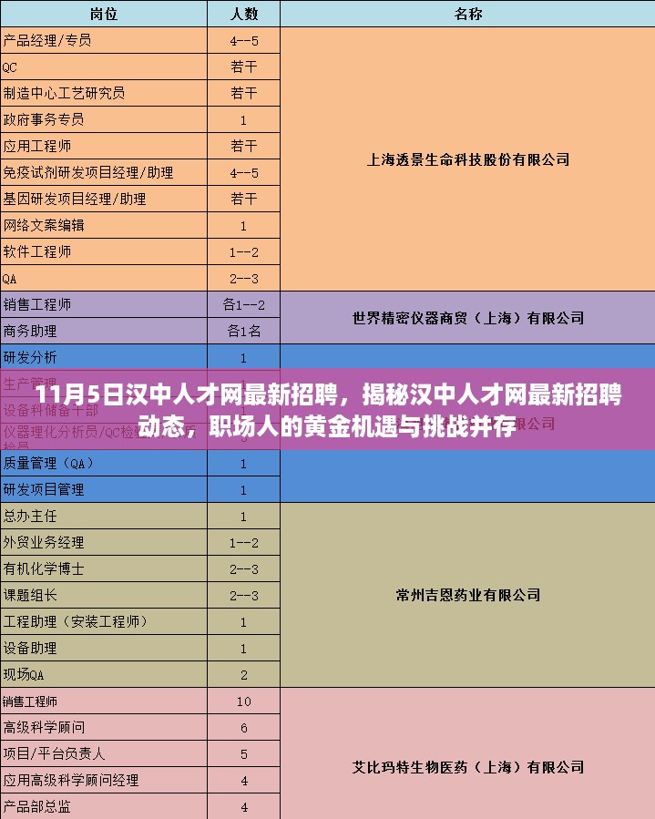 汉中人才网最新招聘动态揭秘,黄金机遇与挑战并存的职场人招募季