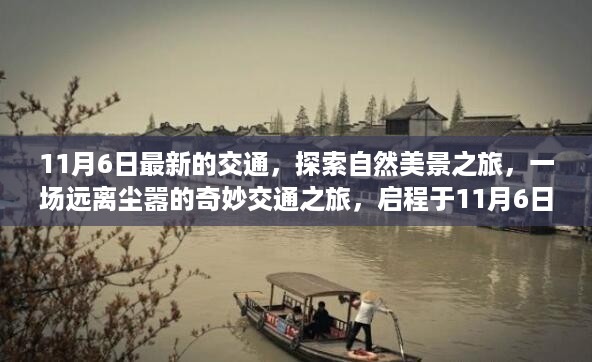 目不转睛 第21页