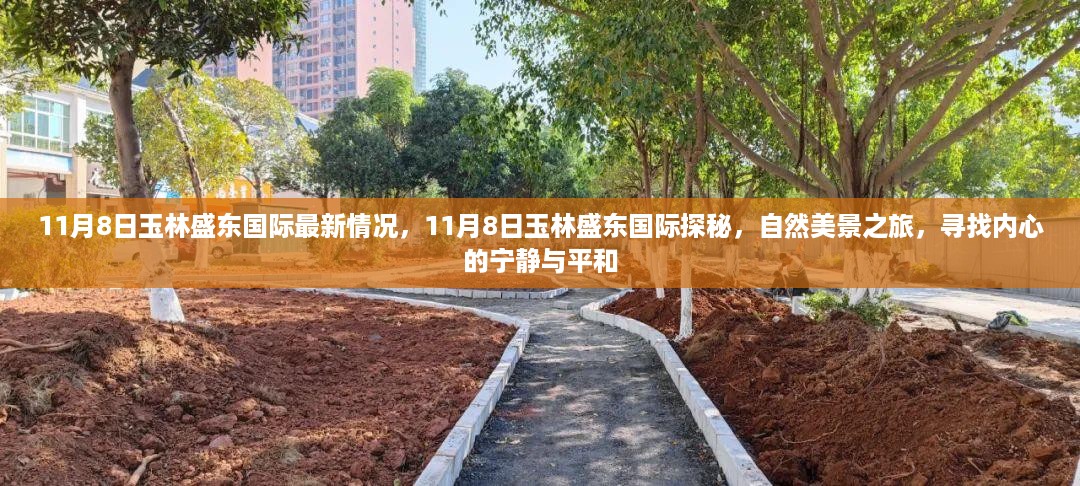 花开无言 第20页