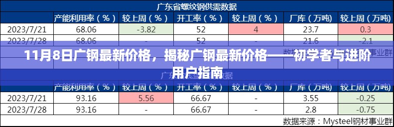 揭秘广钢最新价格,初学者与进阶用户指南(11月8日更新)
