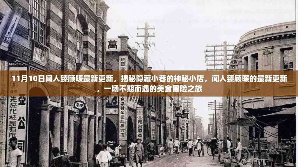 闻人臻顾暖最新更新,神秘小巷美食冒险之旅揭秘