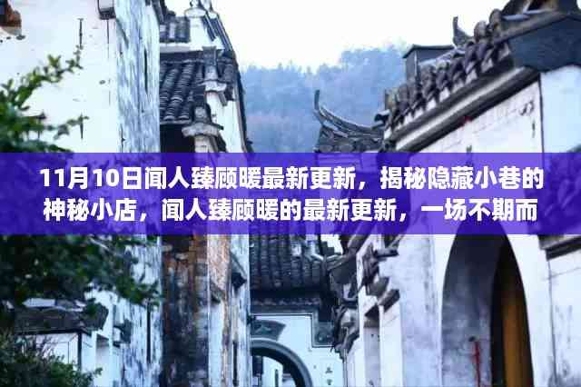 闻人臻顾暖最新更新,神秘小巷美食冒险之旅揭秘