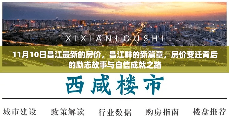 10新动28 第17页