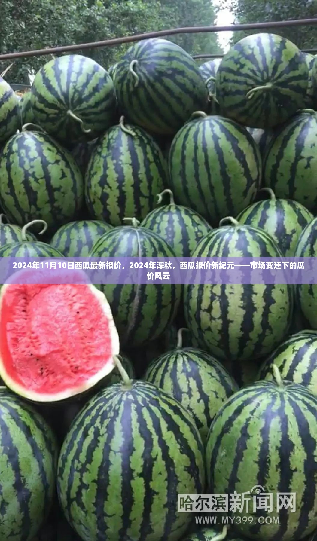江南烟雨断桥殇 第19页
