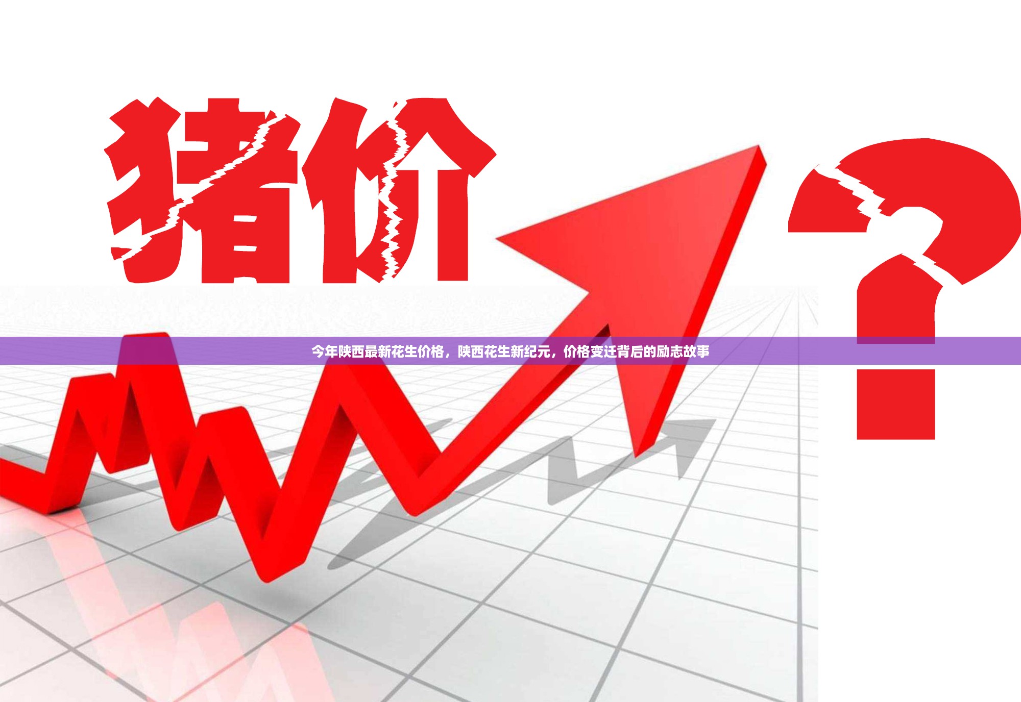 沉默的风 第15页