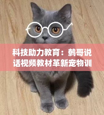 chongyanniaoji 第13页