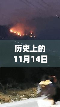 容光焕发 第13页