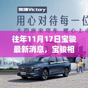 baichiwuzhi 第11页