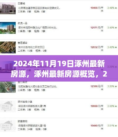 yangchangniaodao 第11页