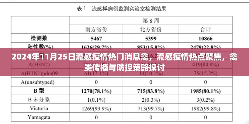 feihuangwuhu 第9页