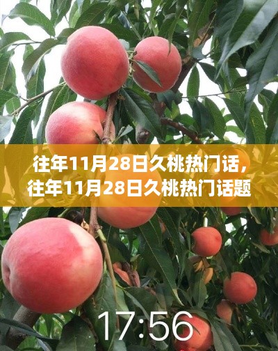 dazhangqigu 第8页