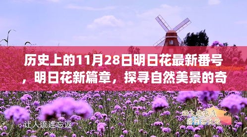 眉开眼笑 第8页