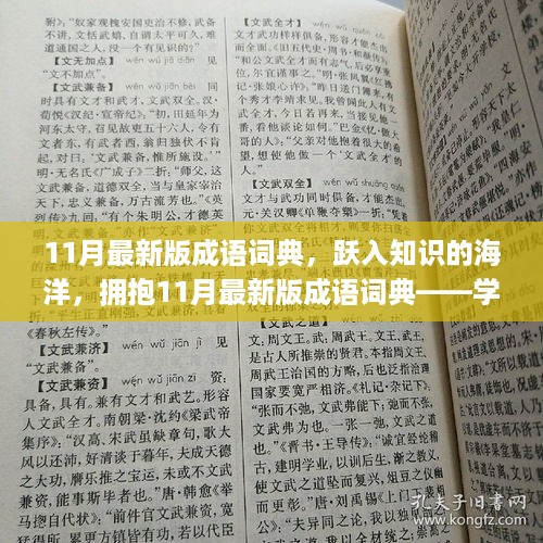 11月最新版成语词典，跃入知识海洋，自信成就并行的学习之旅