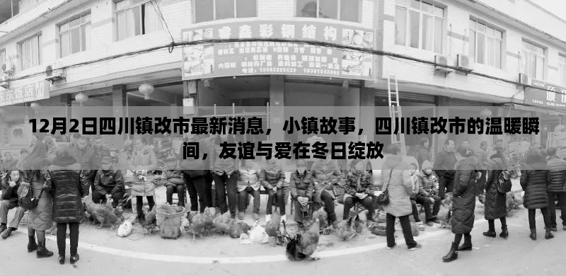 四川镇改市最新动态,冬日里的友谊与爱的小镇故事温暖人心