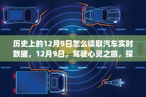 心急如焚 第7页