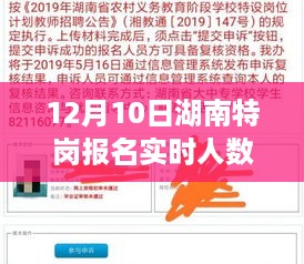 jujinghuishen 第5页