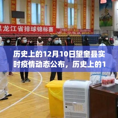 yangchangniaodao 第7页