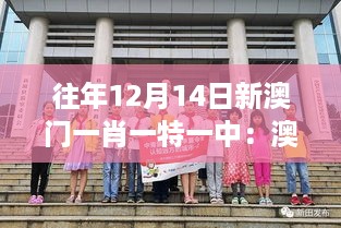 lingxingjinzhi 第5页