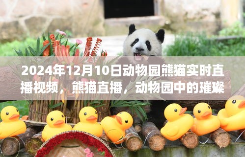 10词海28 第5页