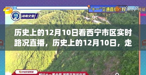chongyanniaoji 第4页