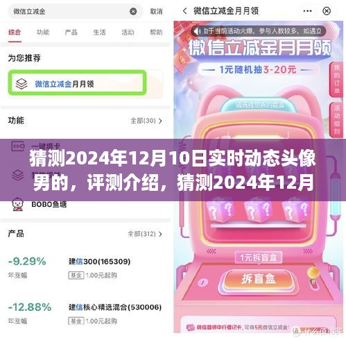 2024年12月20日 第8页