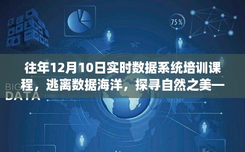 2024年12月20日 第5页