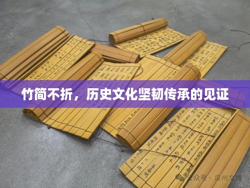 披肝沥胆 第3页