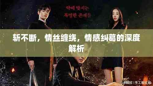 斩不断,情丝缠绕,情感纠葛的深度解析