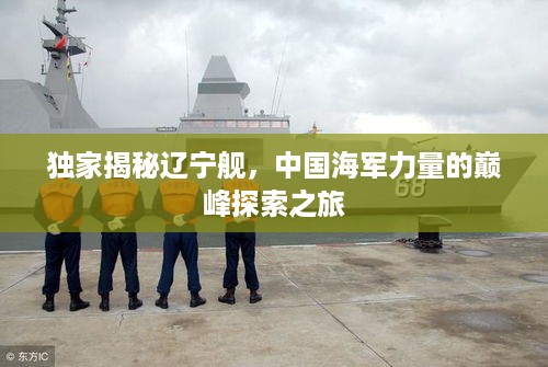 鸟为食亡 第3页