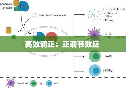 富贵功名 第2页