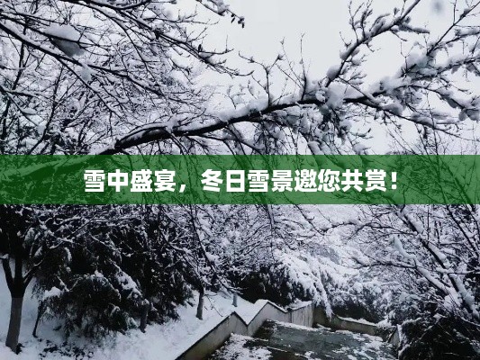 踊贵屦贱 第2页