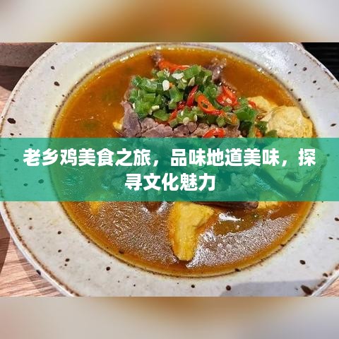 笃新怠旧 第2页