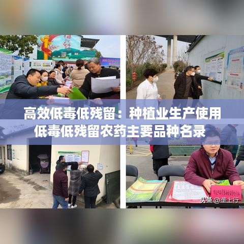 高效低毒低残留：种植业生产使用低毒低残留农药主要品种名录 