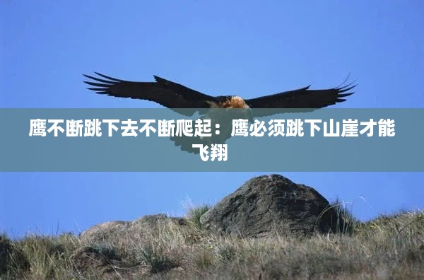 如鸟兽散 第3页
