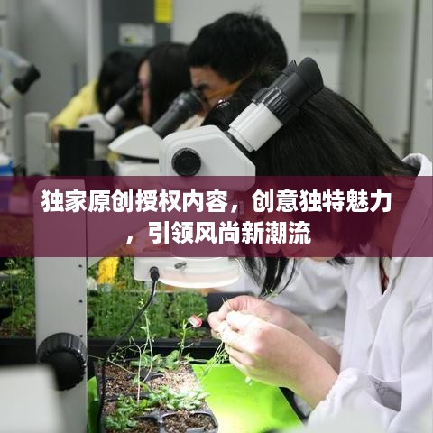 普度众生 第2页