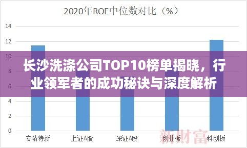 长沙洗涤公司TOP10榜单揭晓，行业领军者的成功秘诀与深度解析