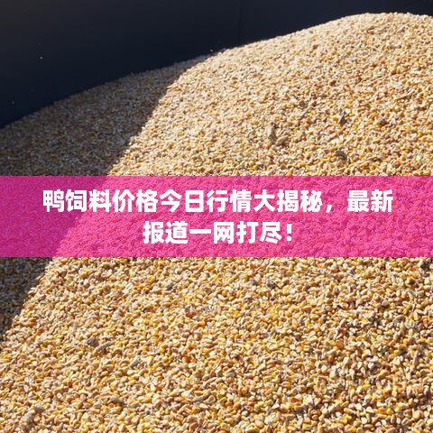 全始全终 第3页