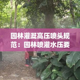粗枝大叶 第2页