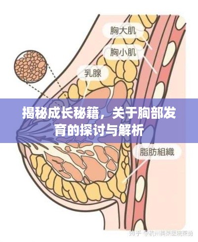 不畏权贵 第2页