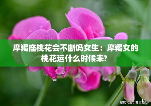 行将就木 第2页