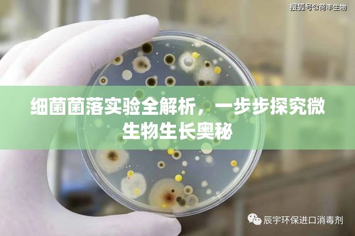 无影无踪 第2页